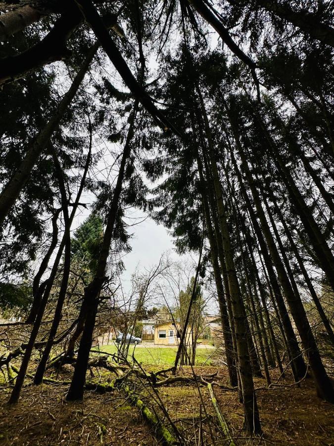Ferienhaus Biber Godendorf  エクステリア 写真