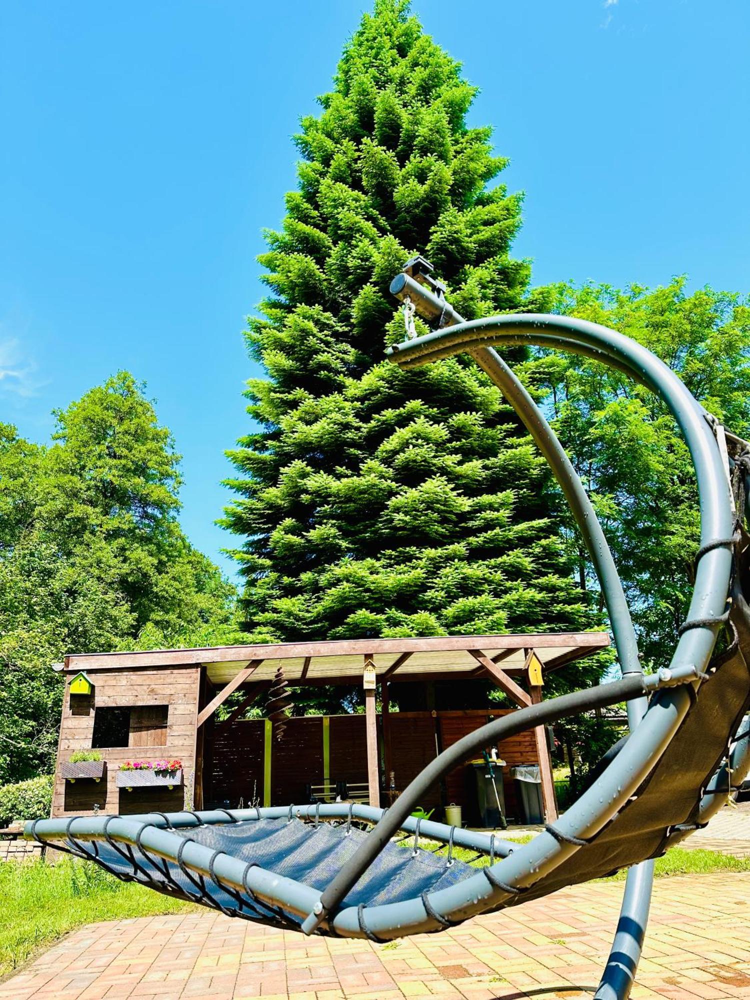 Ferienhaus Biber Godendorf  エクステリア 写真